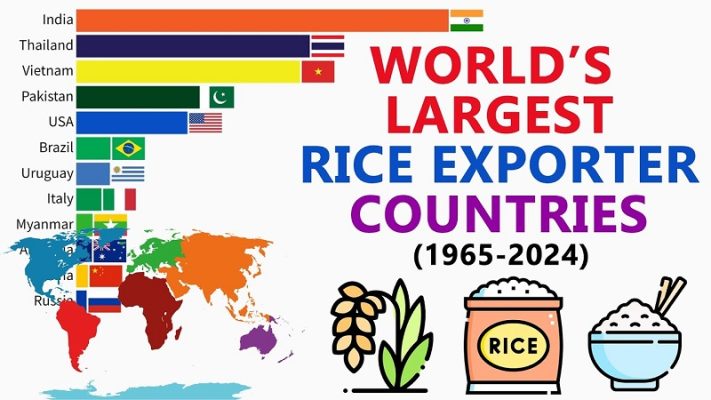 các nước xuất khẩu gạo lớn nhất thế giới 2024
